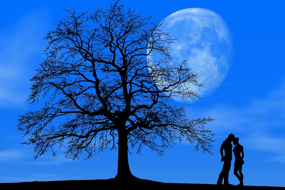 Classement des meilleurs tests d'ovulation pour 2025